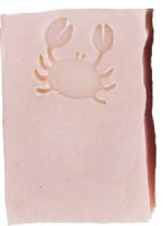 UNDER THE SEA: ROCK CRAB