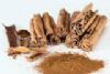CINNAMON BARK - CINNAMOMUN ZEYLANICUM (15 ML)