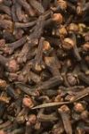 CLOVE BUD - SYZGIUM AROMATICUM (15 ML)