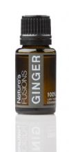 GINGER ROOT - ZINGIBER OFFICINALIS (15 ML)