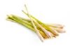 LEMONGRASS - CYMBOPOGON FLEXUOSUS ( 15 ML )