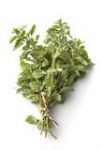 MARJORAM - ORIGANUM MARJORANA  (15 ML )