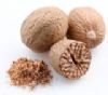 NUTMEG - MYRISTICA FRAGRANS  ( 15 ML )